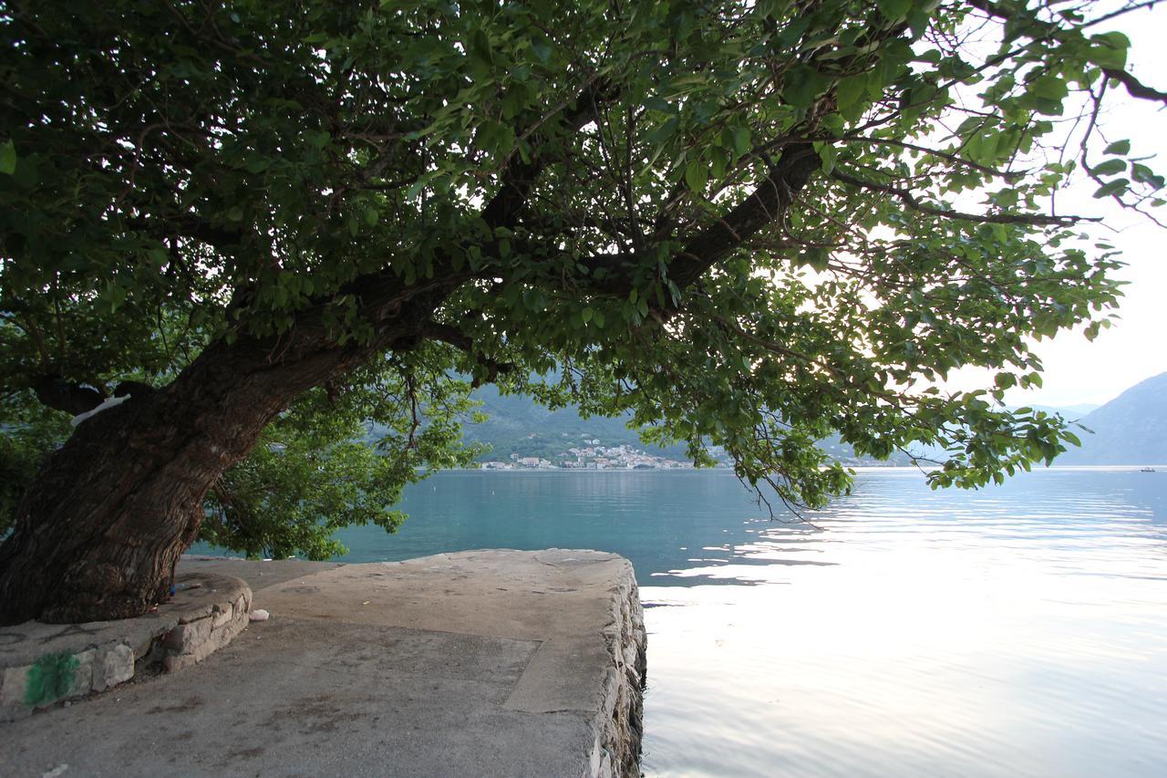 Adriatic Pearl Apartments Kotor Luaran gambar